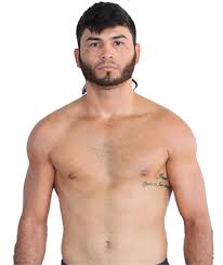Image result for Wolverine MMA
