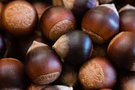 Attēlu rezultāti vaicājumam “Licea castanea macro”