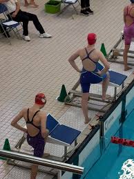 Image result for Chesterfield Swimming Club