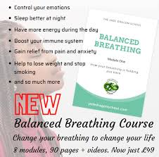 Image result for Jade Dragon School of Kung Fu and Qigong (Reading)