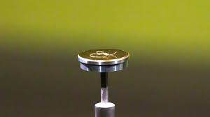 Image result for schamhaar