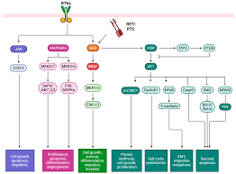 Image result for %E1%83%99%E1...tart=40