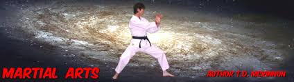 Image result for Devonport Shotokan Karate Club