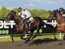 Image result for Elite Racing Club