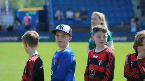 Image result for Springhead Association Football Club