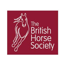 Image result for British Horse Society