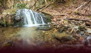 Image result for Stuartfield Bowling Club