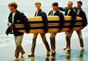 BEACH BOYS Biography