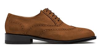 Image result for Brogue: Community Edition