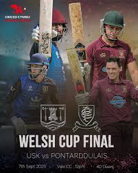 Image result for Vale Cricket Club