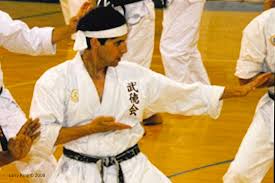 Image result for Bushin Kenpo Kai Schools