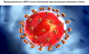 Image result for фотография вируса вич