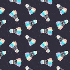 Image result for Rainbow Badminton Club