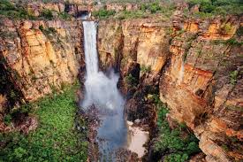 Billedresultat for kakadu n...