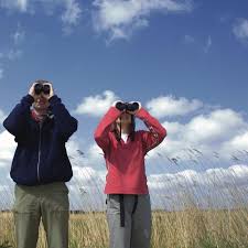 Image result for Leiston & District Swimming Club