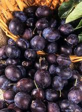 Attēlu rezultāti vaicājumam “Prunus domestica subsp. insitita fruit”