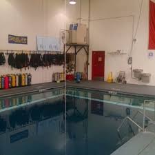 Image result for Cornish Swim Academy