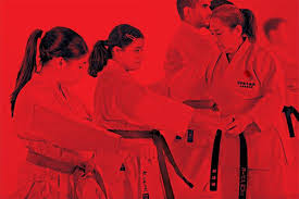 Image result for America's Best Karate Chandler