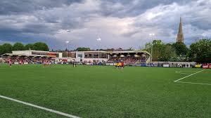 Image result for Dorking Wanderers F C