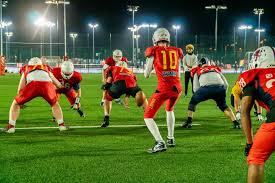 Image result for Birmingham University Lions