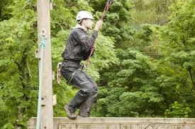 Image result for The Go Ape Experience (Delamere Forest)