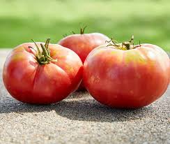 Afbeeldingsresultaat voor crnkovic yugoslavian tomato