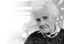 Image result for eva zeisel