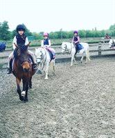 Image result for Weybridge Equestrian Centre