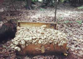 Image result for Wobbly Geocaching Club