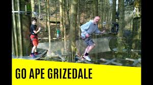 Image result for Go Ape! Grizedale