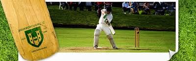 Image result for Brodsworth Main Cricket Club