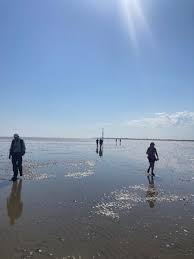 Image result for Essex Stragglers