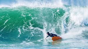 Image result for The British Kneeboard Surfing Club