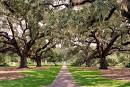 Picture - Garden path in Georgetown, South Carolina. | PlanetWare