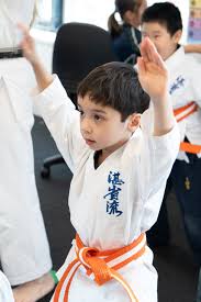 Image result for Inyo Karate Do Ninbukan