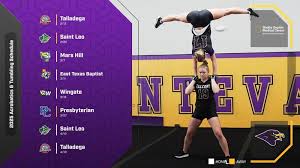 Image result for Monarchs Sports Acrobatics Club