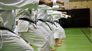 Image result for Jin Sei Kai Shotokan Karate