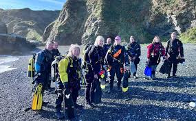 Image result for London Hellfins