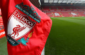 Image result for Liverpool Lizards Speedminton Club