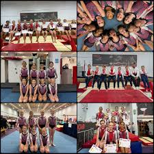 Image result for Hinckley Gymnastics Club