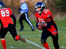 Image result for Warwick Wolves