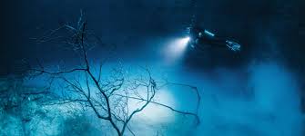 Image result for Deep and Wide Diving