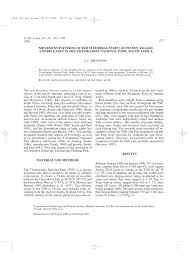 Image result for Petrus rupestris