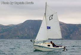 Image result for West Wight Tc