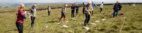 Image result for Harlequins Orienteering Club