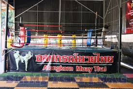 Image result for Sitnarong Muay Thai Club