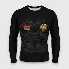 Image result for Футболка с флагом армении