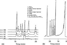 Image result for High Peak Gc