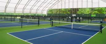Image result for Lockerbie Pickleball Club