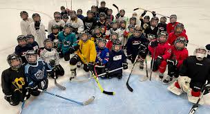 Image result for Pontypool Skater Hockey Club